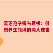 灵芝孢子粉与葛根：健康养生领域的两大瑰宝