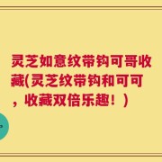 灵芝如意纹带钩可哥收藏(灵芝纹带钩和可可，收藏双倍乐趣！)