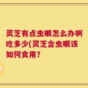 灵芝有点虫眼怎么办啊吃多少(灵芝含虫眼该如何食用？