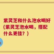 紫灵芝和什么泡水喝好(紫灵芝泡水喝，搭配什么更佳？)