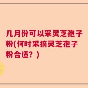 几月份可以采灵芝孢子粉(何时采摘灵芝孢子粉合适？)