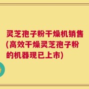 灵芝孢子粉干燥机销售(高效干燥灵芝孢子粉的机器现已上市)