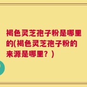 褐色灵芝孢子粉是哪里的(褐色灵芝孢子粉的来源是哪里？)