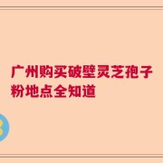 广州购买破壁灵芝孢子粉地点全知道
