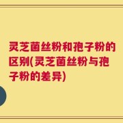 灵芝菌丝粉和孢子粉的区别(灵芝菌丝粉与孢子粉的差异)