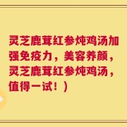 灵芝鹿茸红参炖鸡汤加强免疫力，美容养颜，灵芝鹿茸红参炖鸡汤，值得一试！)