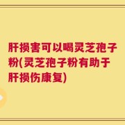 肝损害可以喝灵芝孢子粉(灵芝孢子粉有助于肝损伤康复)