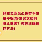 野生灵芝怎么保存不生虫子呢(野生灵芝如何防止虫害？教你正确保存方法)