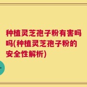 种植灵芝孢子粉有害吗吗(种植灵芝孢子粉的安全性解析)