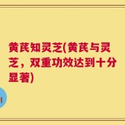 黄芪知灵芝(黄芪与灵芝，双重功效达到十分显著)