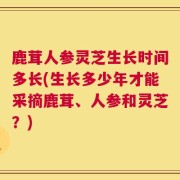 鹿茸人参灵芝生长时间多长(生长多少年才能采摘鹿茸、人参和灵芝？)
