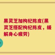黑灵芝加枸杞陈皮(黑灵芝搭配枸杞陈皮，缓解身心疲劳)