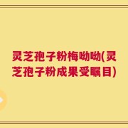 灵芝孢子粉梅呦呦(灵芝孢子粉成果受瞩目)