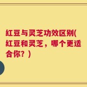 红豆与灵芝功效区别(红豆和灵芝，哪个更适合你？)