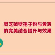 灵芝破壁孢子粉与黄芪的完美结合提升与效果