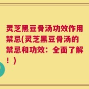 灵芝黑豆骨汤功效作用禁忌(灵芝黑豆骨汤的禁忌和功效：全面了解！)