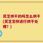 灵芝烘干的吗怎么烘干(灵芝怎样进行烘干处理？)