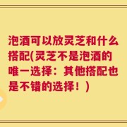 泡酒可以放灵芝和什么搭配(灵芝不是泡酒的唯一选择：其他搭配也是不错的选择！)