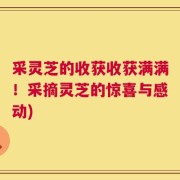 采灵芝的收获收获满满！采摘灵芝的惊喜与感动)