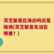 灵芝蟹是在海边吗还是陆地(灵芝蟹是生活在哪里？)