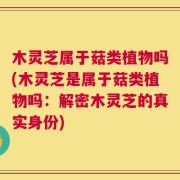 木灵芝属于菇类植物吗(木灵芝是属于菇类植物吗：解密木灵芝的真实身份)