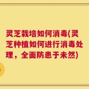 灵芝栽培如何消毒(灵芝种植如何进行消毒处理，全面防患于未然)