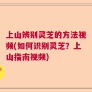 上山辨别灵芝的方法视频(如何识别灵芝？上山指南视频)