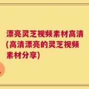 漂亮灵芝视频素材高清(高清漂亮的灵芝视频素材分享)