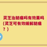 灵芝治腿痛吗有效果吗(灵芝可有效缓解腿痛？)