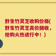 野生竹灵芝收购价格(野生竹灵芝高价回收，抢购火热进行中！)