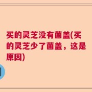 买的灵芝没有菌盖(买的灵芝少了菌盖，这是原因)