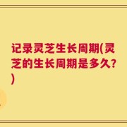 记录灵芝生长周期(灵芝的生长周期是多久？)