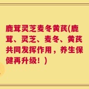 鹿茸灵芝麦冬黄芪(鹿茸、灵芝、麦冬、黄芪共同发挥作用，养生保健再升级！)