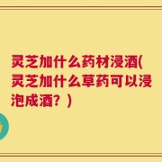 灵芝加什么药材浸酒(灵芝加什么草药可以浸泡成酒？)