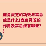 鹿角灵芝的功效与禁忌症是什么(鹿角灵芝的作用及禁忌症有哪些?)