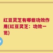 红豆灵芝有哪些功效作用(红豆灵芝：功效一览)