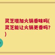 灵芝增加火锅香味吗(灵芝能让火锅更香吗？)