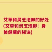 艾草和灵芝泡脚的好处(艾草和灵芝泡脚：身体健康的秘诀)