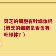 灵芝的细胞有叶绿体吗(灵芝的细胞是否含有叶绿体？)