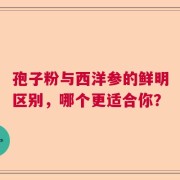孢子粉与西洋参的鲜明区别，哪个更适合你？