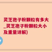 灵芝孢子粉颗粒有多大_灵芝孢子粉颗粒大小及重量详解)