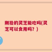 刚拾的灵芝能吃吗(灵芝可以食用吗？)