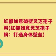 红都如意破壁灵芝孢子粉(红都如意灵芝孢子粉：打通身体壁垒)