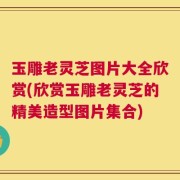 玉雕老灵芝图片大全欣赏(欣赏玉雕老灵芝的精美造型图片集合)