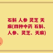 石斛 人参 灵芝 天麻(四种中药 石斛、人参、灵芝、天麻)
