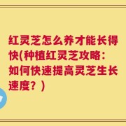 红灵芝怎么养才能长得快(种植红灵芝攻略：如何快速提高灵芝生长速度？)