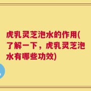 虎乳灵芝泡水的作用(了解一下，虎乳灵芝泡水有哪些功效)