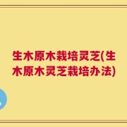 生木原木栽培灵芝(生木原木灵芝栽培办法)