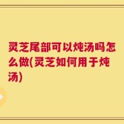 灵芝尾部可以炖汤吗怎么做(灵芝如何用于炖汤)
