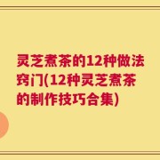 灵芝煮茶的12种做法窍门(12种灵芝煮茶的制作技巧合集)